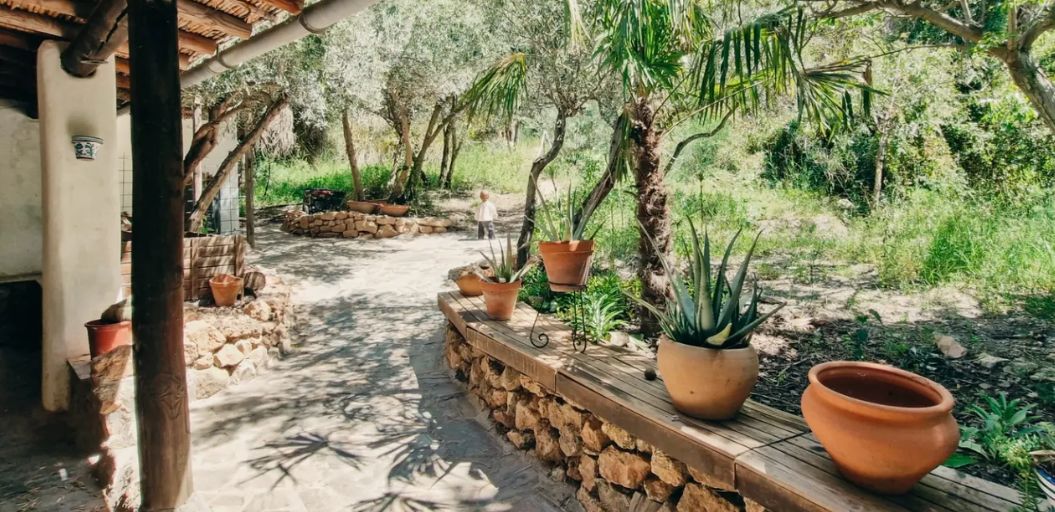 Spaanse Taal Andalusie Experience Retreat bij Finca de Elma
